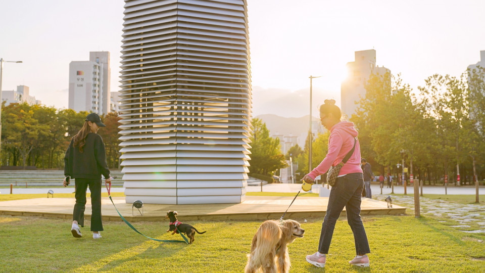 smog-free-tomer-2